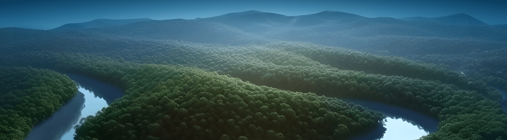 Image of a lush rainforest for the banner.